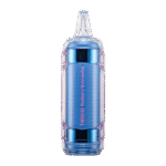 Blueberry Watermelon Flavor RAZ TN9000 Disposable Vape - Image 2