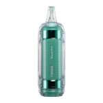 Miami Mint Flavor RAZ TN9000 Disposable Vape - Image 2