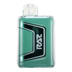 Miami Mint Flavor RAZ TN9000 Disposable Vape